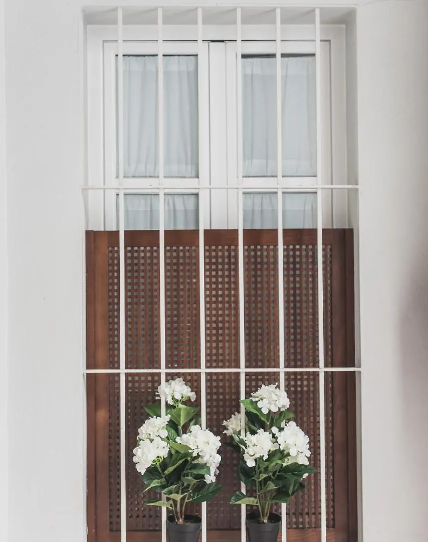 Arenal Maestranza Apartment Seville